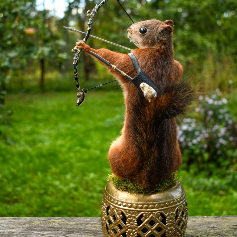 Ainulaadne Orav vibukütt ehtne topis