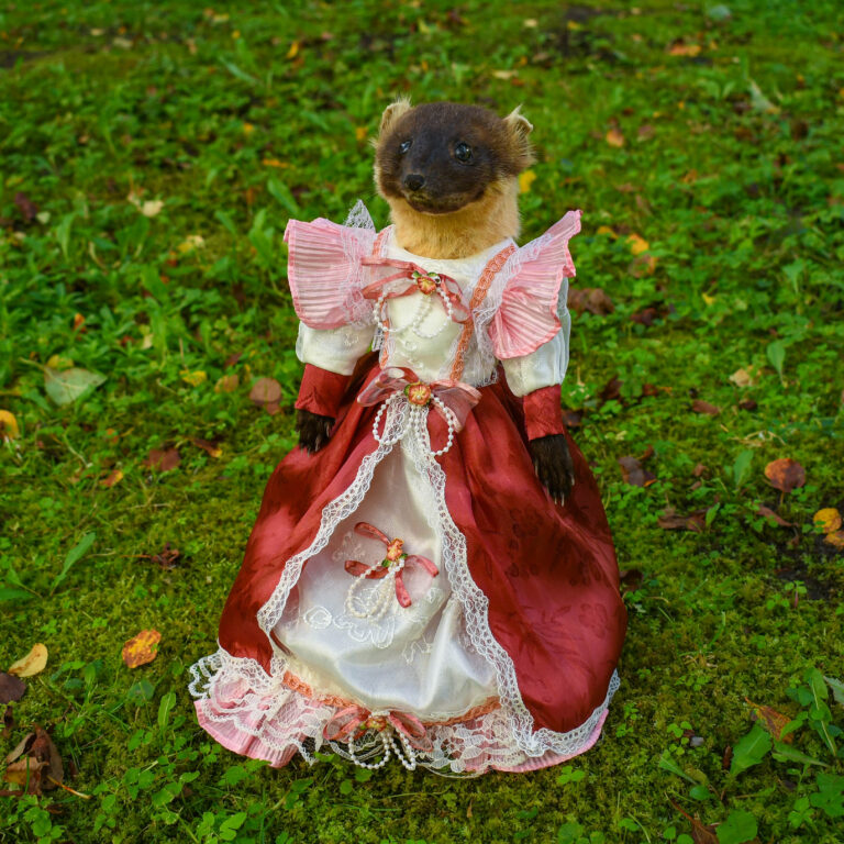 Ainulaadne vanaaegse kleidiga nugise pea ja käppadega topis nukk