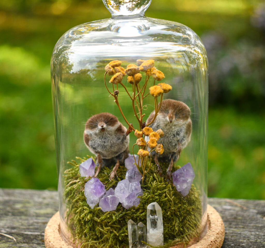 Ehtsate topis hiirte, taimede, sambla ja ametüstidega omapärane kodukaunistus