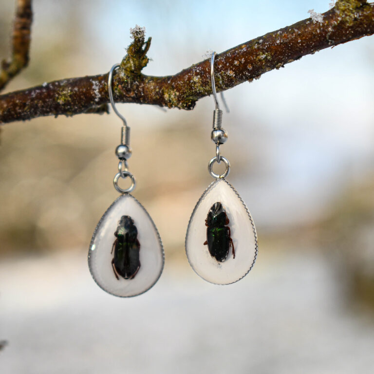 Ehtsa Põrnikaga Tilk Kõrvarõngad