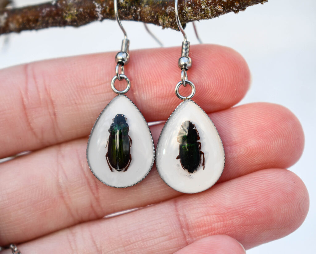 Ehtsa Põrnikaga Tilk Kõrvarõngad