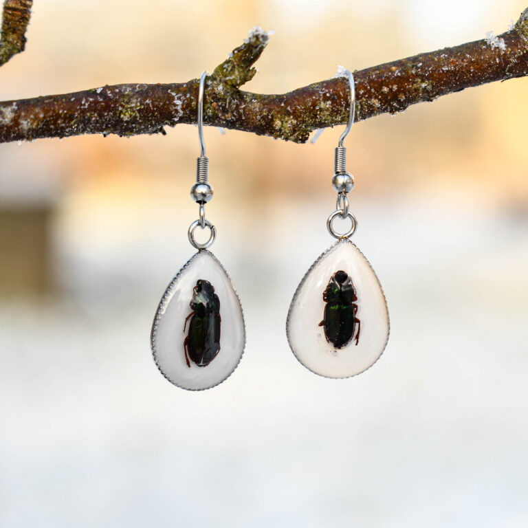 Ehtsa Põrnikaga Tilk Kõrvarõngad