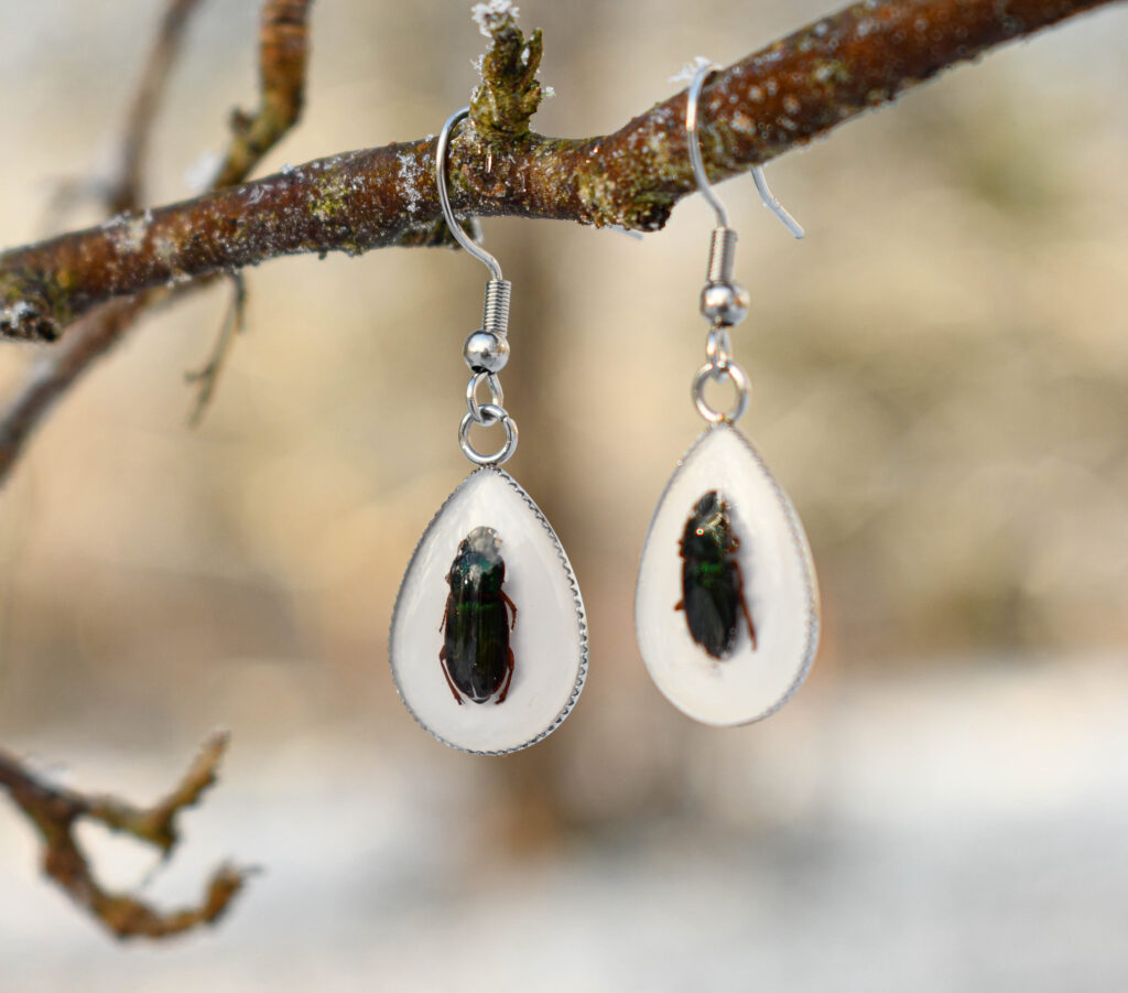 Ehtsa Põrnikaga Tilk Kõrvarõngad teine