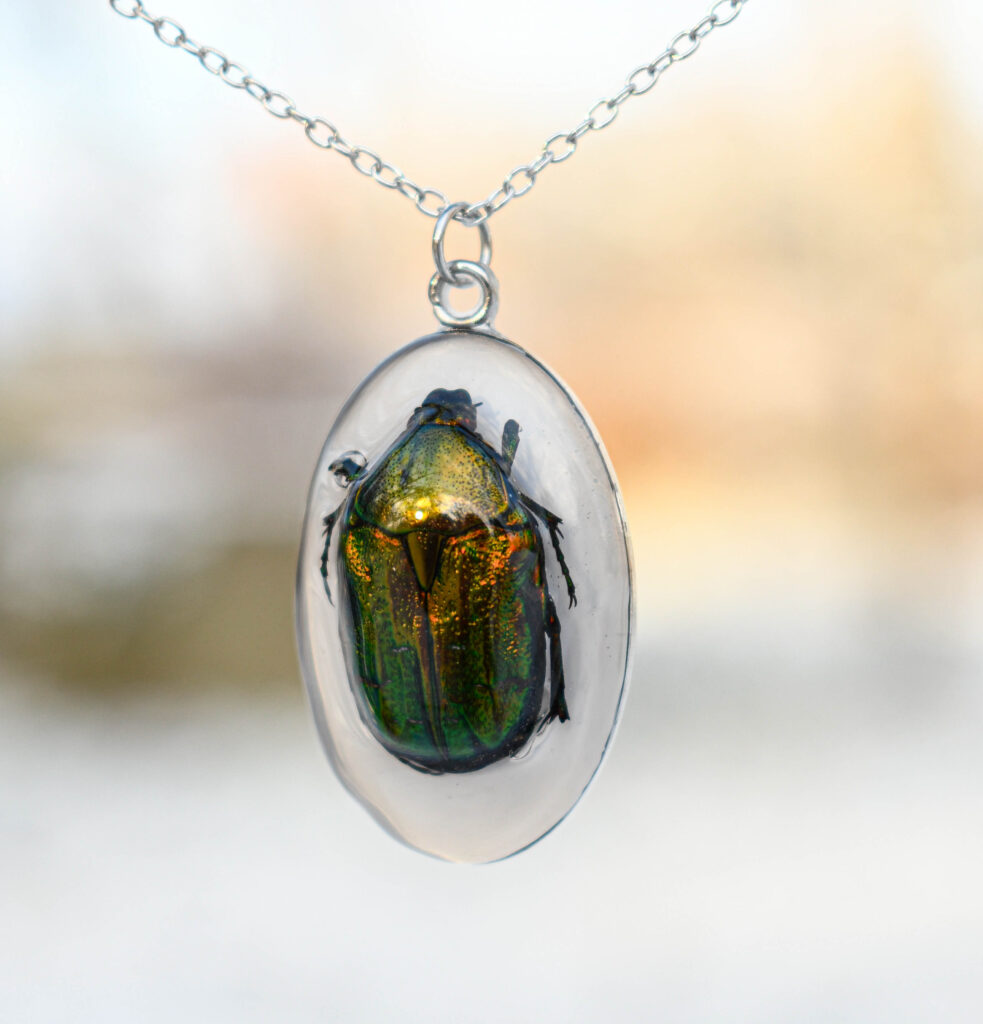 Ehtsa kuldpõrnikaga kõrvarõngad esi