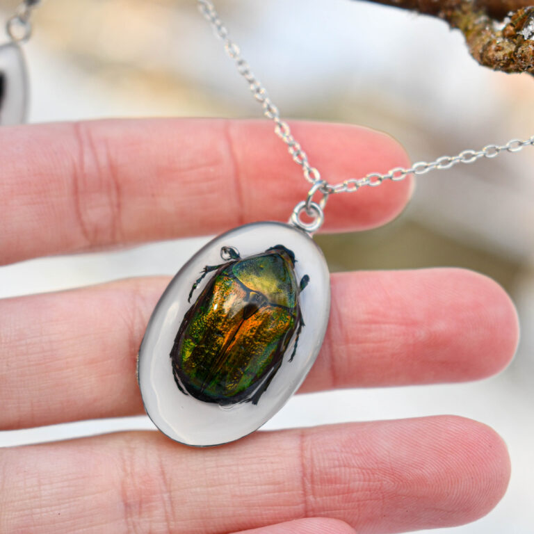 Ehtsa kuldpõrnikaga kõrvarõngad