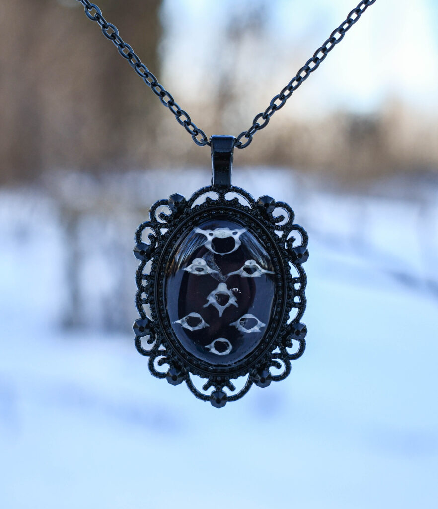 Hiire seitsmest selgroo lülist kaelakee