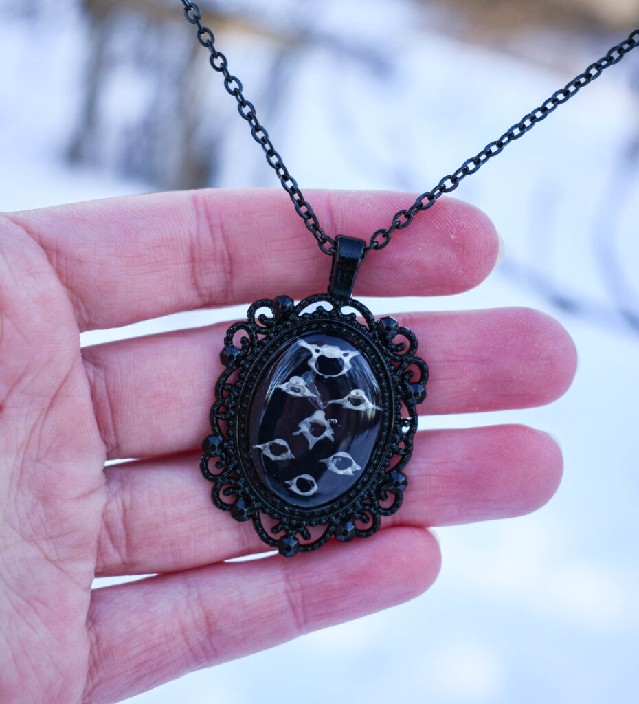 Hiire seitsmest selgroo lülist kaelakee