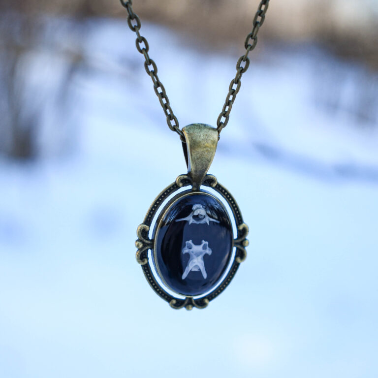 Hiire selgroolülidest kaelakee