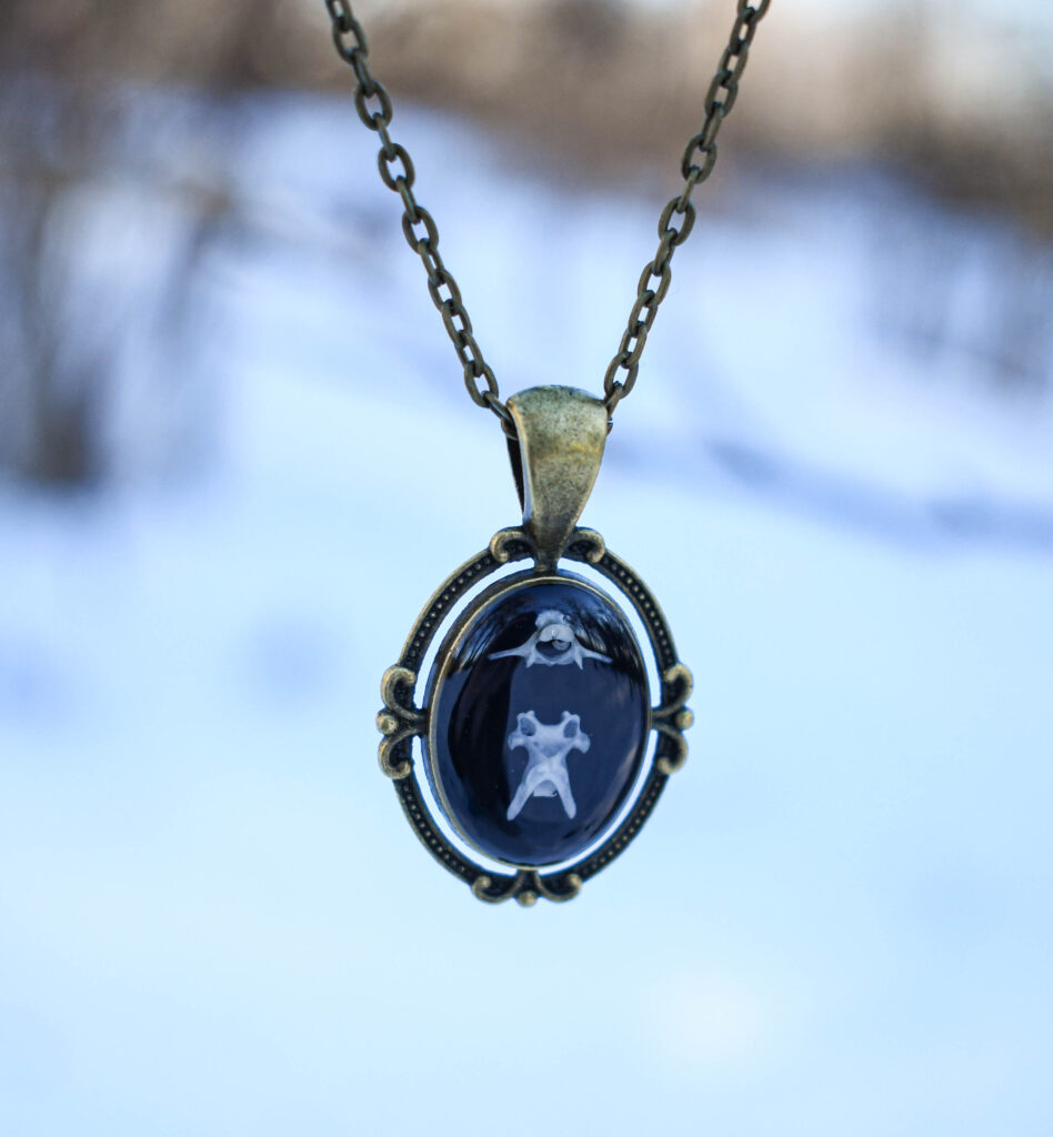 Hiire selgroolülidest kaelakee