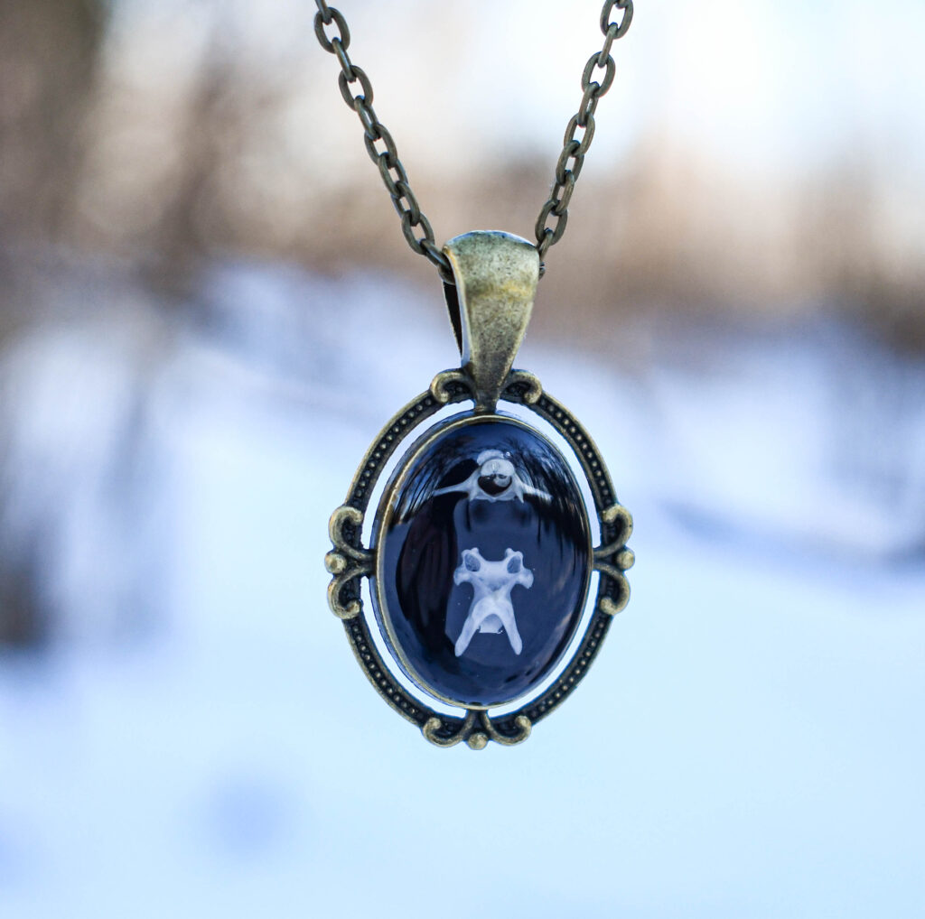 Hiire selgroolülidest kaelakee