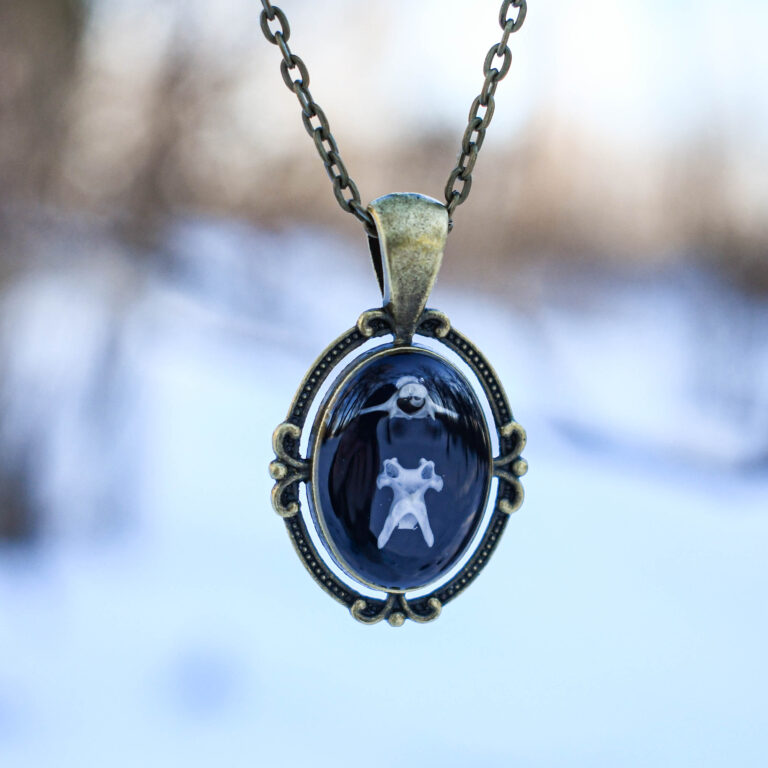 Hiire selgroolülidest kaelakee