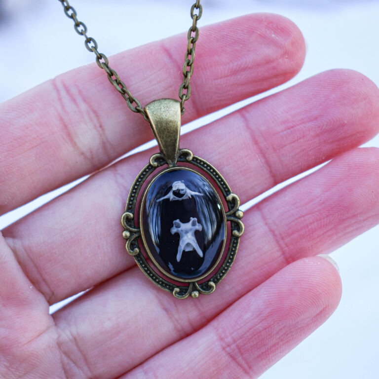 Hiire selgroolülidest kaelakee