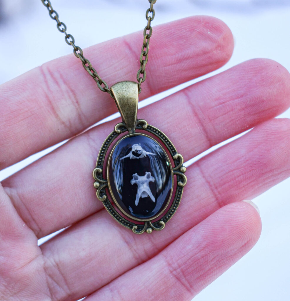 Hiire selgroolülidest kaelakee