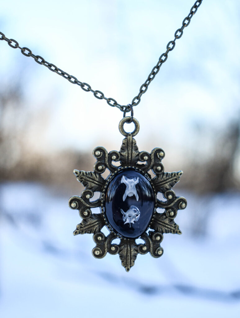 Hiire selgroolülidest kaelakee